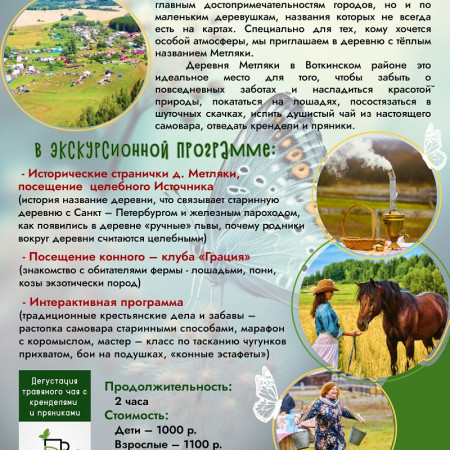Metlyaki-porhaem-slovno-motylki.
